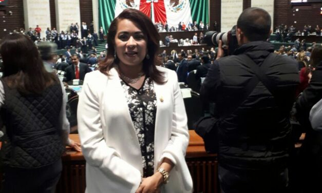 VIOLAN LA CONSTITUCIÓN VERACRUZANA: CITLALI MEDELLIN CAREAGA