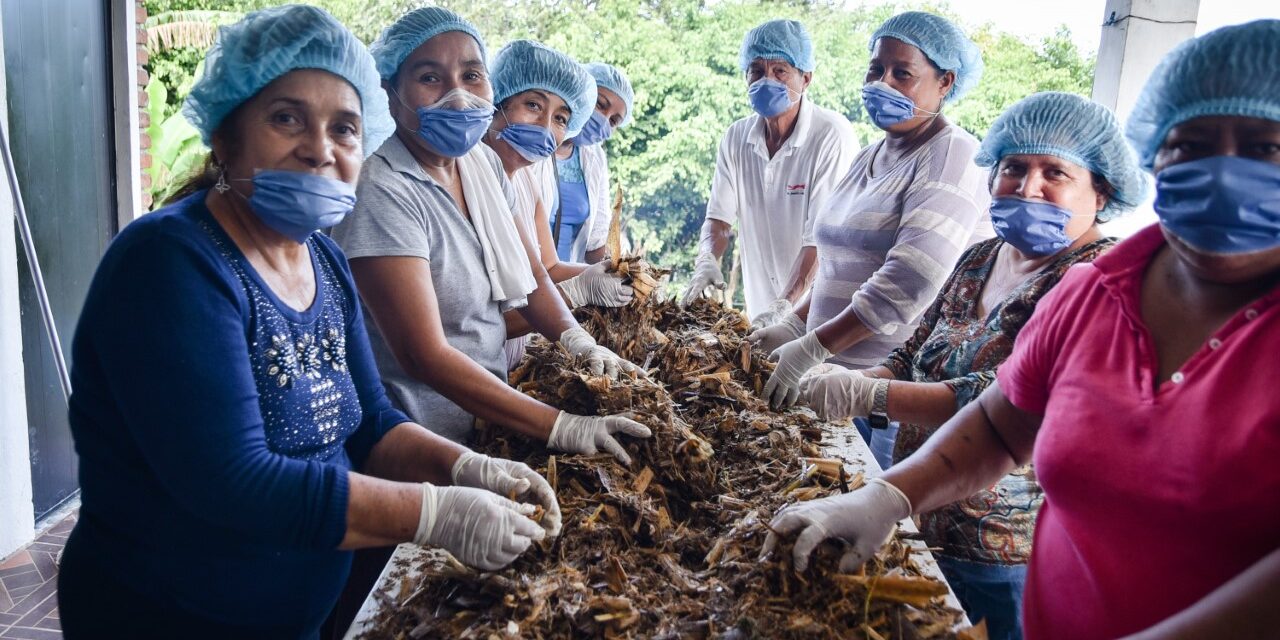 Secretario de Salud debe informar cuántos embarazos por violación e ILE atiende