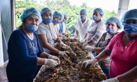 Secretario de Salud debe informar cuántos embarazos por violación e ILE atiende