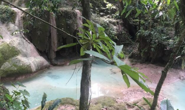 Con nuevos descubrimientos, Pemex incorporó reservas por 684 millones de barriles de petróleo en 2016