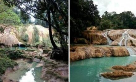 Desaparecen las cascadas de Agua Azul.