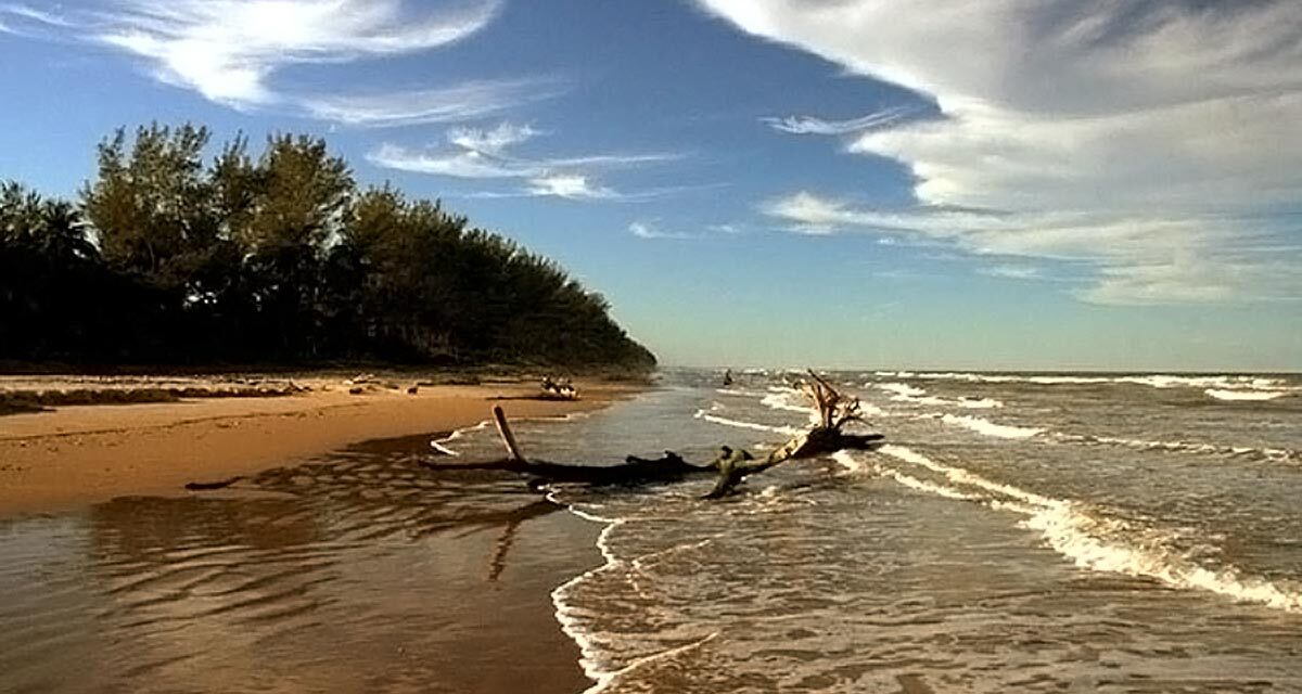PRI naufraga en Veracruz