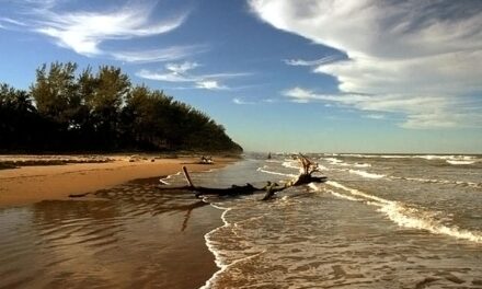 PRI naufraga en Veracruz