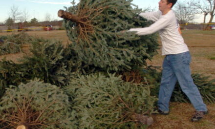La soledad de Javier Duarte
