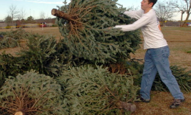La soledad de Javier Duarte