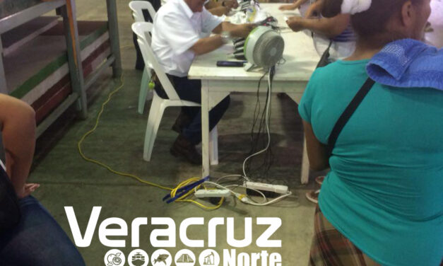 Profesionistas o con prepa, representan la mitad del desempleo (VIDEO)