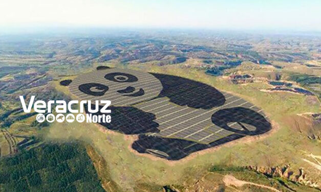 Granja solar con la forma de panda en China