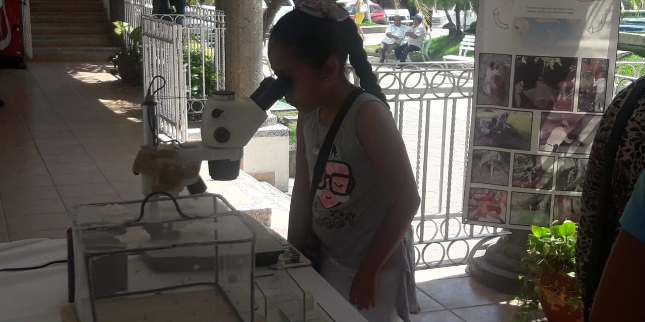 No solo desolación dejo «Harvey» en Houston (videos)