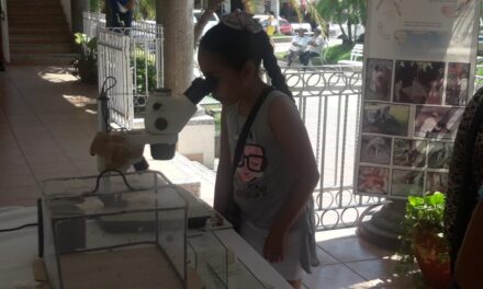 No solo desolación dejo «Harvey» en Houston (videos)