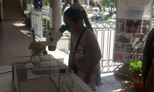 No solo desolación dejo «Harvey» en Houston (videos)