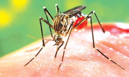 300 casos de dengue en lo que va del año: Azael Che Mendoza.