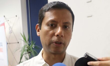 El IVD viola la ley de Protección de Datos Personales: Luna Hernández