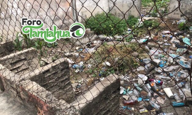 Piden limpieza a predios abandonados