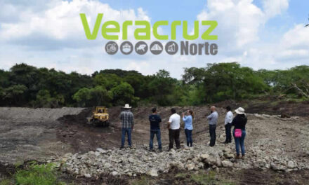 Partido Verde dice que no necesita alianzas