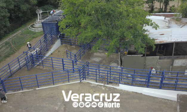 Más de 90 por ciento en la remodelación del corral en el Rastro Municipal