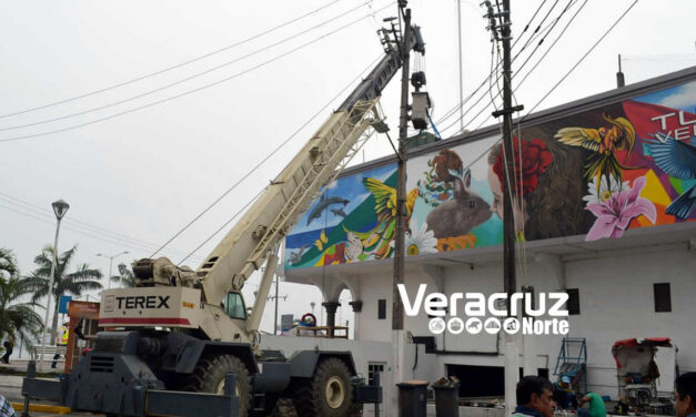 Reestablecen suministro eléctrico en un 80 por ciento