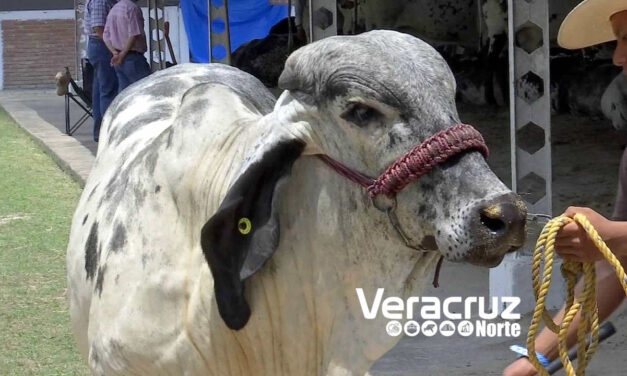 Jubilaciones en Octubre para Empleados Municipales