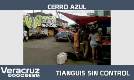 TIANGUIS SIN CONTROL INVADE MÁS ESPACIO