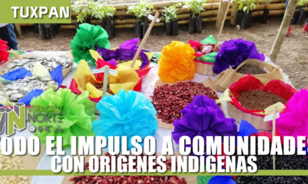 TODO EL IMPULSO A COMUNIDADES CON ORÍGENES INDÍGENAS