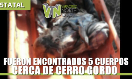 Encuentran 5 cuerpos putrefactos cerca de Cerro Gordo
