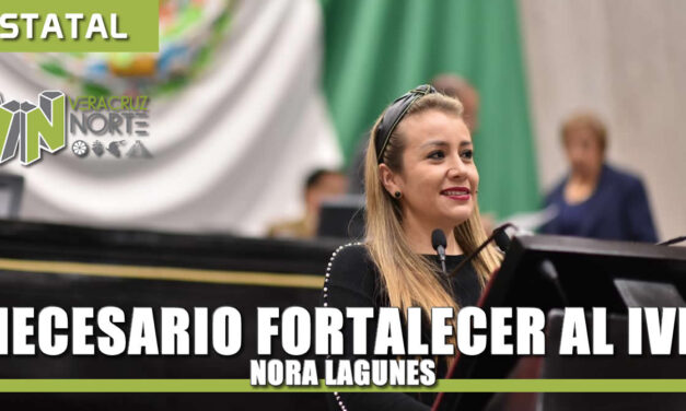 Necesario fortalecer al IVM: Nora Lagunes