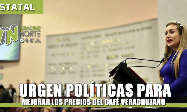 URGEN POLÍTICAS PARA MEJORAR LOS PRECIOS DEL CAFÉ VERACRUZANO