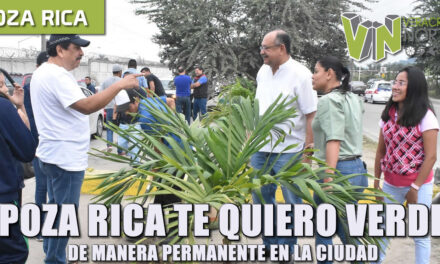 «poza rica te quiero verde» de manera permanente en la ciudad