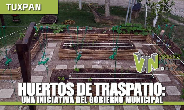 HUERTOS DE TRASPATIO: UNA INICIATIVA DEL GOBIERNO MUNICIPAL