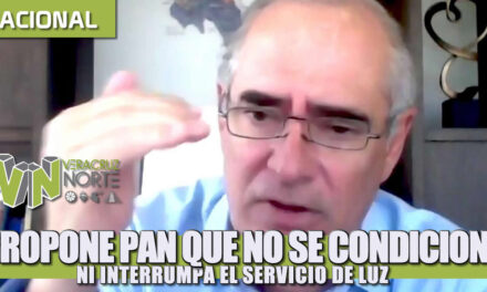 Propone PAN que no se condicione ni interrumpa el servicio de luz a los mexicanos durante la contingencia