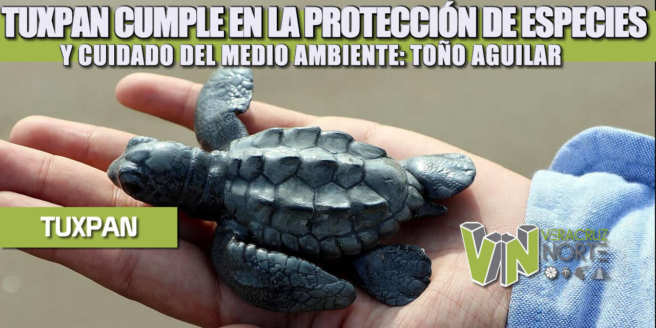 TUXPAN CUMPLE EN LA PROTECCIÓN DE ESPECIES Y CUIDADO DEL MEDIO AMBIENTE: TOÑO AGUILAR