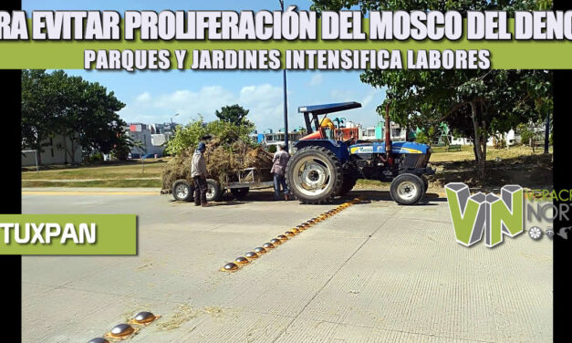 PARA EVITAR PROLIFERACIÓN DEL MOSCO DEL DENGUE, PARQUES Y JARDINES INTENSIFICA LABORES