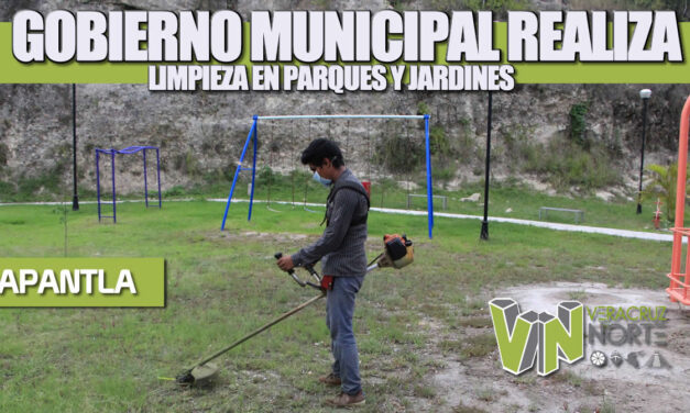 GOBIERNO MUNICIPAL REALIZA LIMPIEZA EN PARQUES Y JARDINES