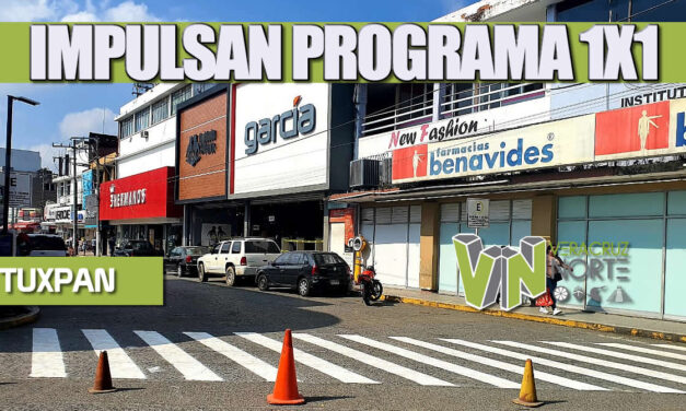 IMPULSAN PROGRAMA 1X1