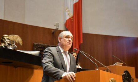 LA VACUNACIÓN NO PUEDE QUEDAR EN MANOS DE LOS “SIERVOS DE LA NACIÓN” POR ESO EXISTE UN SISTEMA DE SALUD: JULEN REMENTERÍA