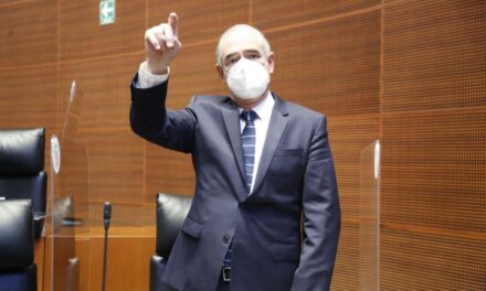 LEY APAGÓN PERJUDICARÁ A LAS FAMILIAS MEXICANAS: JULEN REMENTERÍA