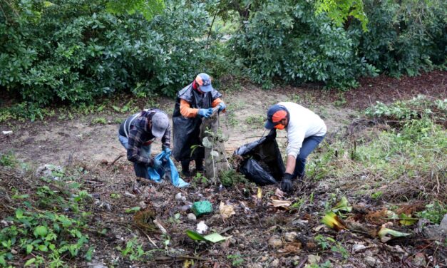 GOBIERNO DE TUXPAN INICIA LABORES DE LIMPIEZA Y MANTENIMIENTO DEL PANTEÓN JARDÍN.