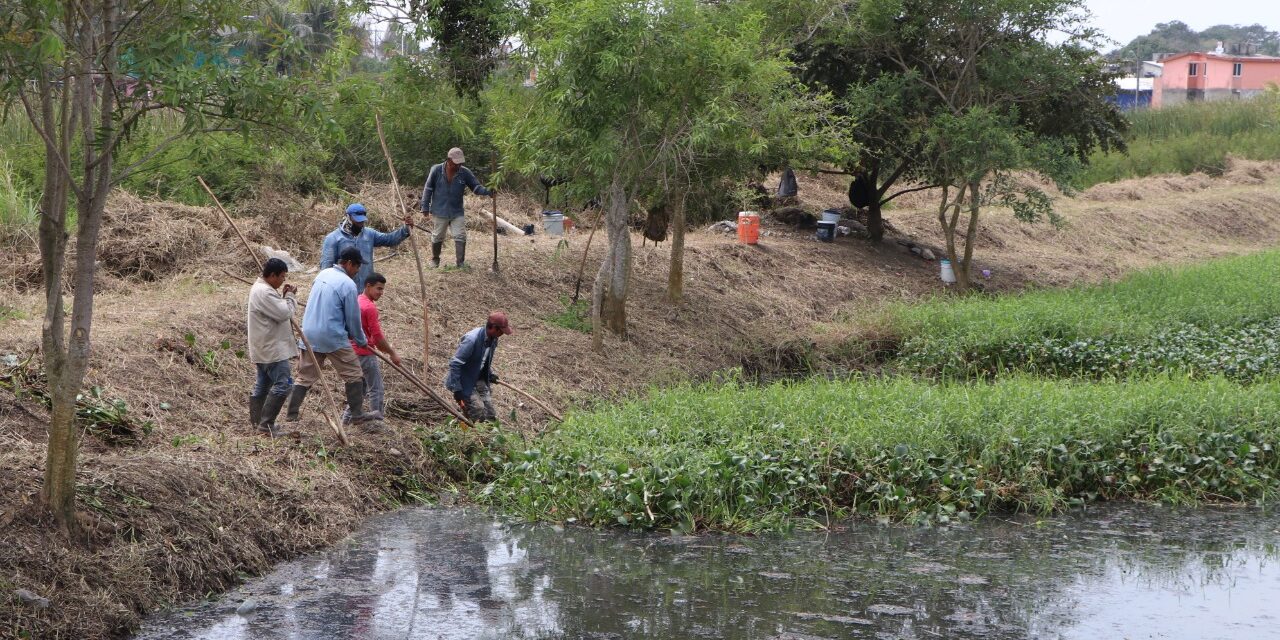AYUNTAMIENTO DESAZOLVA CANAL PARA PREVENIR INUNDACIONES