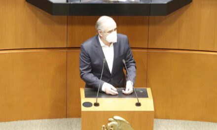 REFORMA DE AMLO NO ELIMINA PARTIDAS SECRETAS: JULEN REMENTERÍA