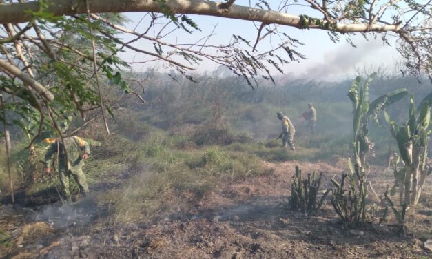 EJÉRCITO MEXICANO APLICA PLAN DN-III-E POR INCENDIO EN EL MUNICIPIO DEL HIGO, VER.
