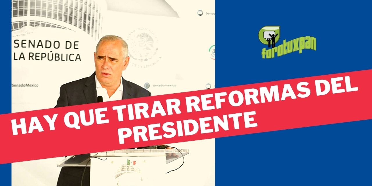 Alista oposición paquete de acciones de inconstitucionalidad para tirar Reformas del Presidente: Julen Rementería