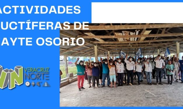 ACTIVIDADES FRUCTÍFERAS DE MAYTE OSORIO
