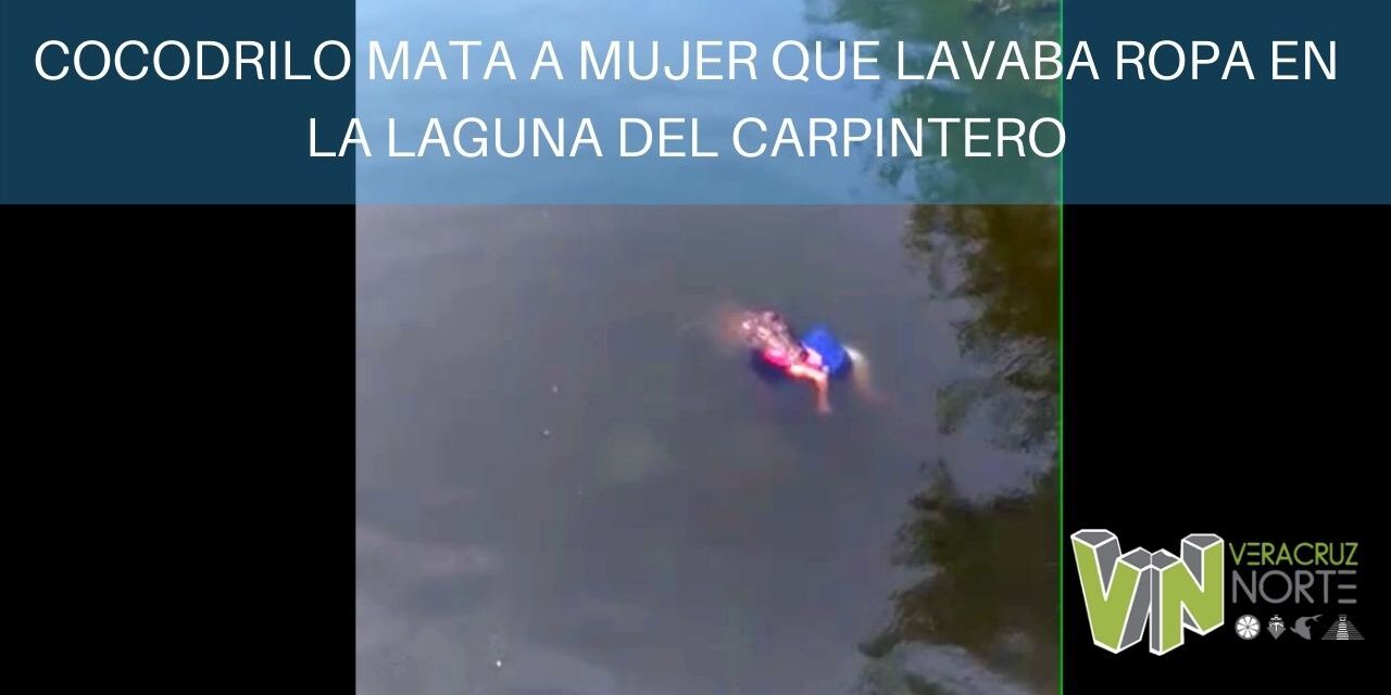 COCODRILO MATA A MUJER QUE LAVABA ROPA EN LA LAGUNA DEL CARPINTERO
