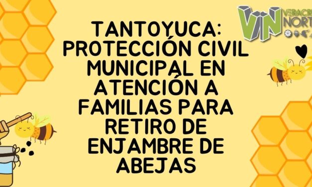 Tantoyuca: Protección Civil municipal en atención a familias para retiro de enjambre de abejas