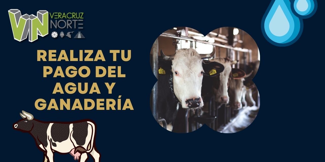 REALIZA TU PAGO DEL AGUA Y GANADERÍA