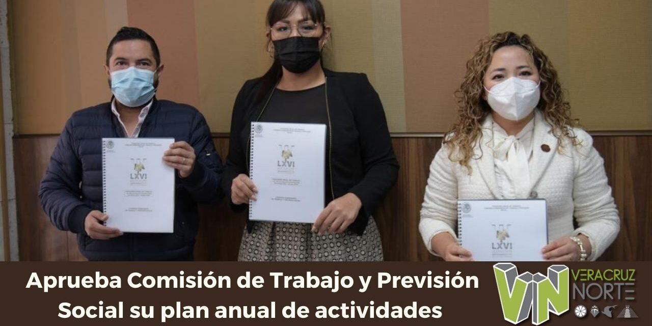 Aprueba Comisión de Trabajo y Previsión Social su plan anual de actividades