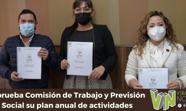 Aprueba Comisión de Trabajo y Previsión Social su plan anual de actividades