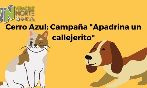 Cerro Azul: Campaña «Apadrina un callejerito»