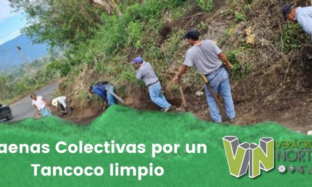 Faenas Colectivas por un Tancoco limpio