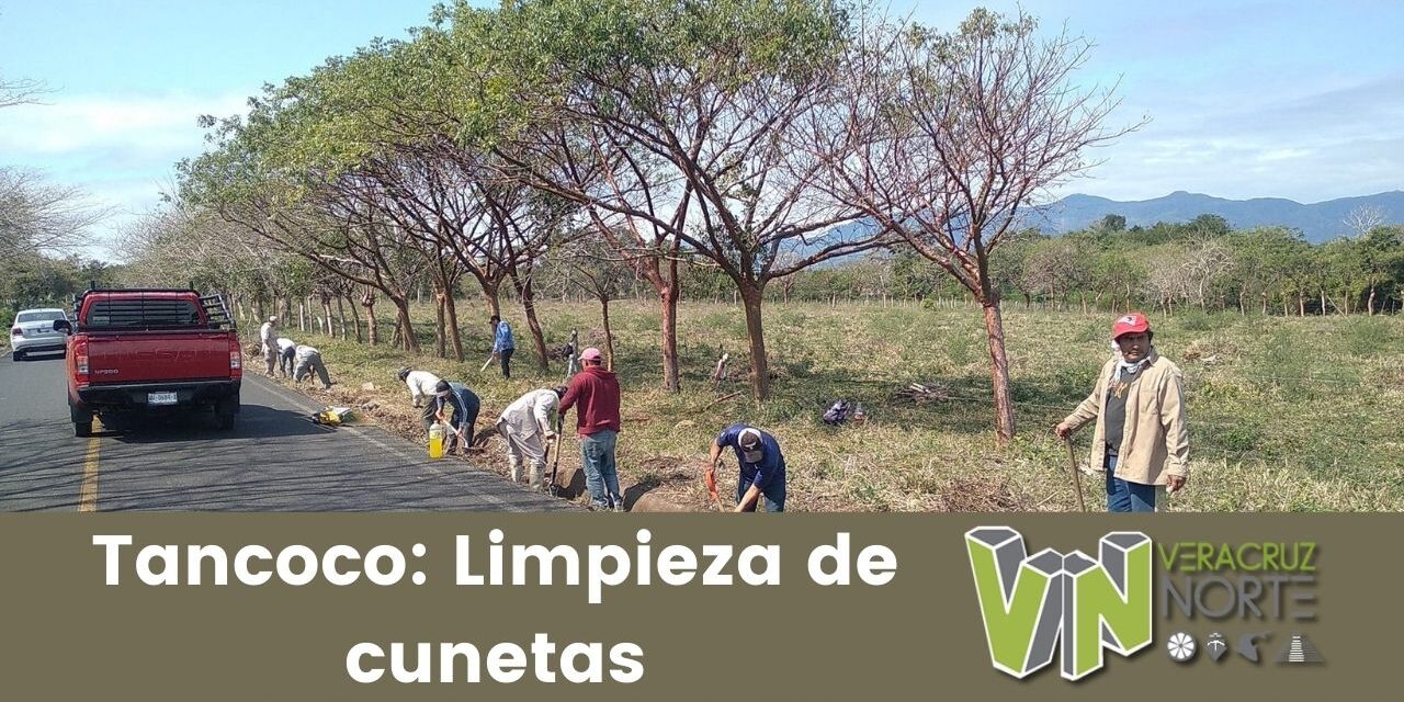 Tancoco: Limpieza de cunetas