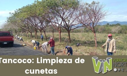 Tancoco: Limpieza de cunetas